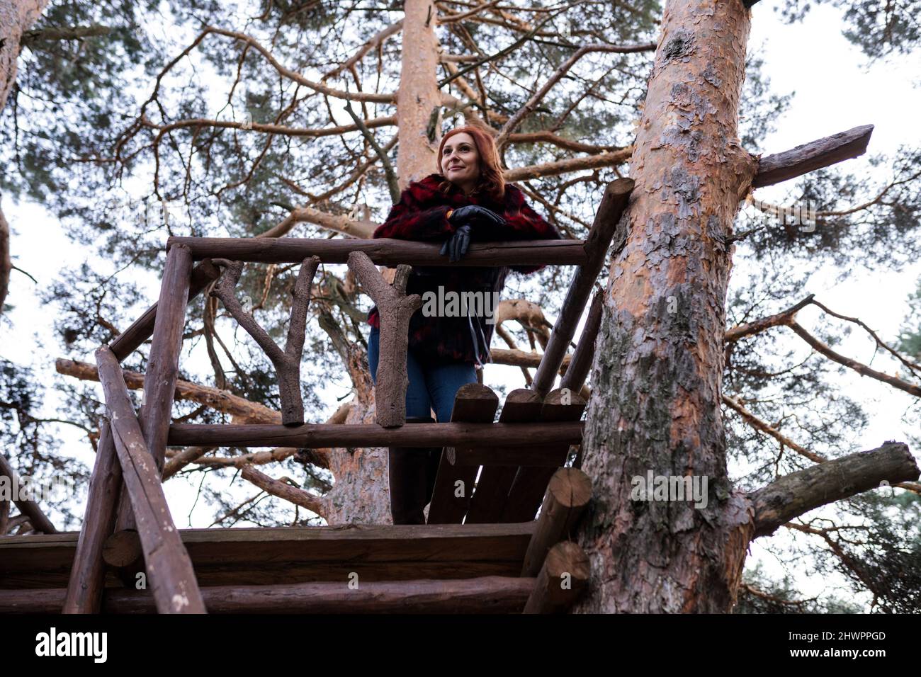 Woman day dreaming at tree house in forest Stock Photo