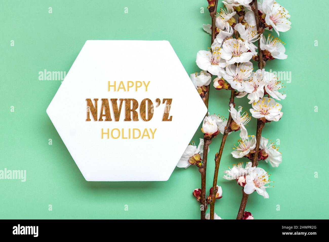 Sprigs of the apricot tree with flowers and Text Happy Nowruz Holiday Concept of spring came Top view Flat lay Hello march, april, may, persian new ye Stock Photo