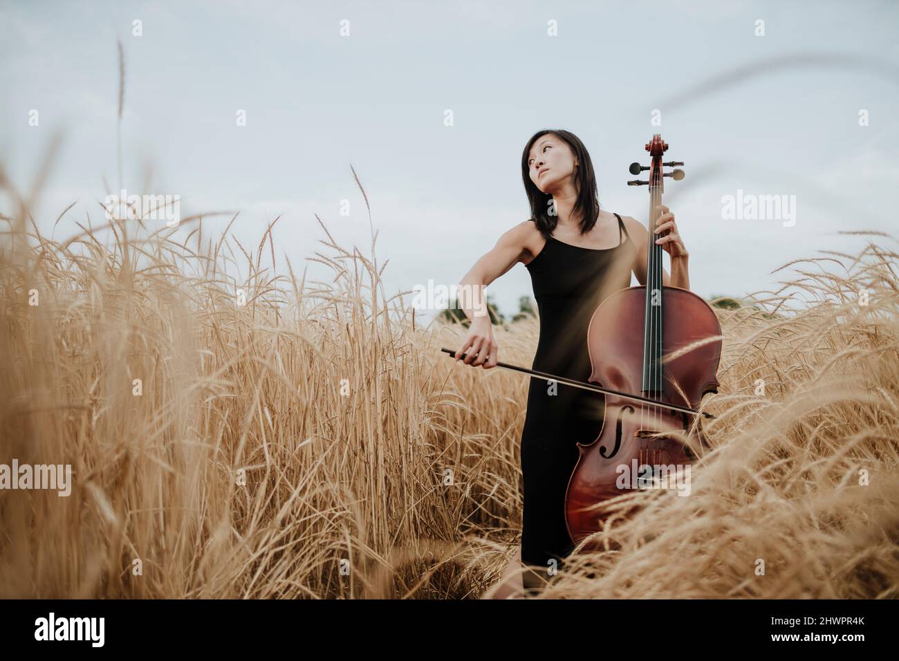 Woman playing cello in field Stock Photo