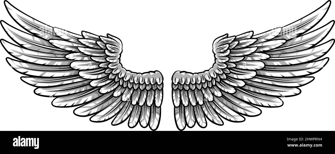 Pair of Spread Eagle or Angel Feather Wings Stock Vector