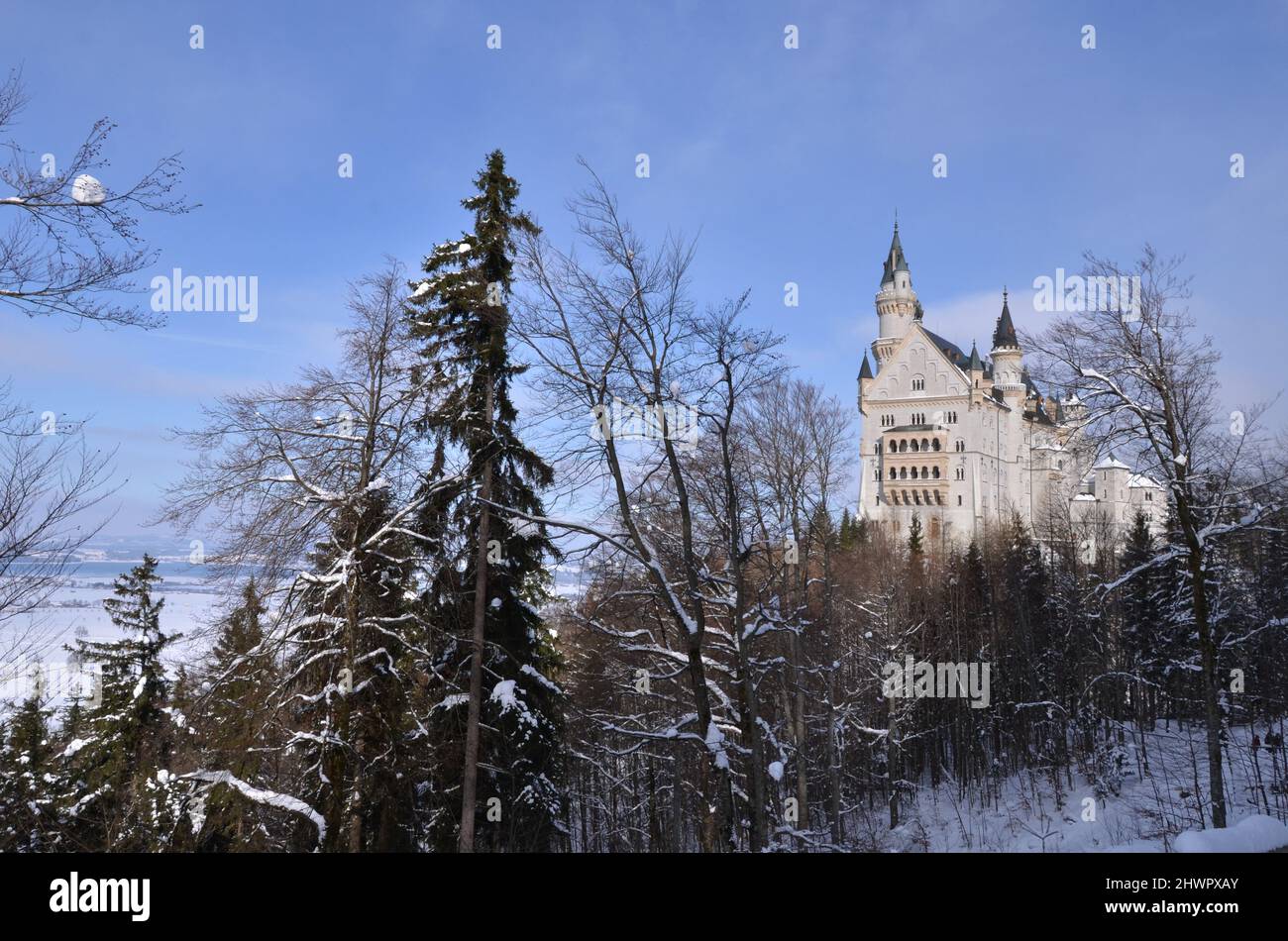 GERMANY, Bavaria, Schwangau, Hohenschwangau, Neuschwanstein and surroundings under the snow Stock Photo
