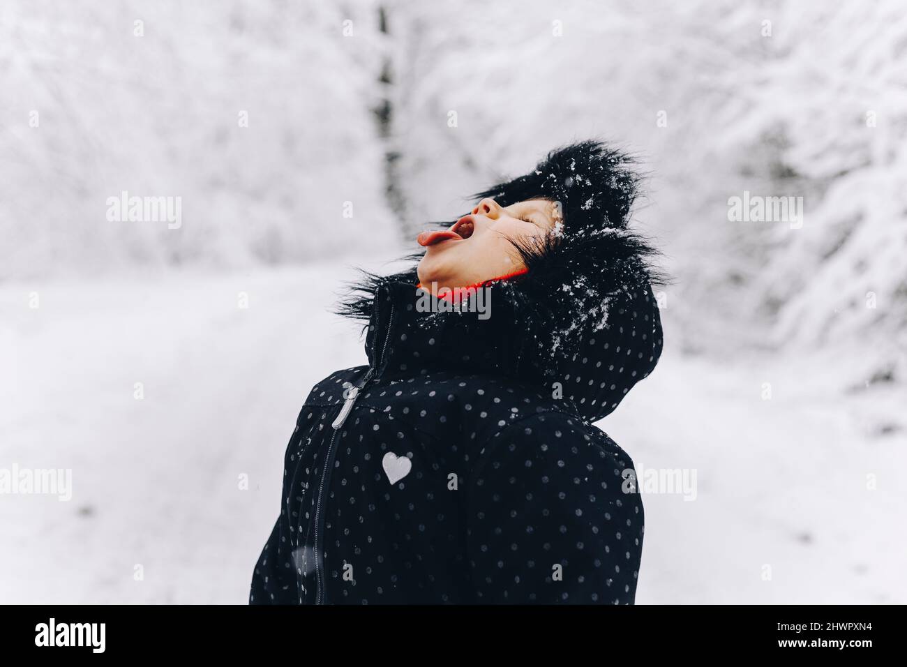 Girl trying to catch snow on tongue in winter Stock Photo