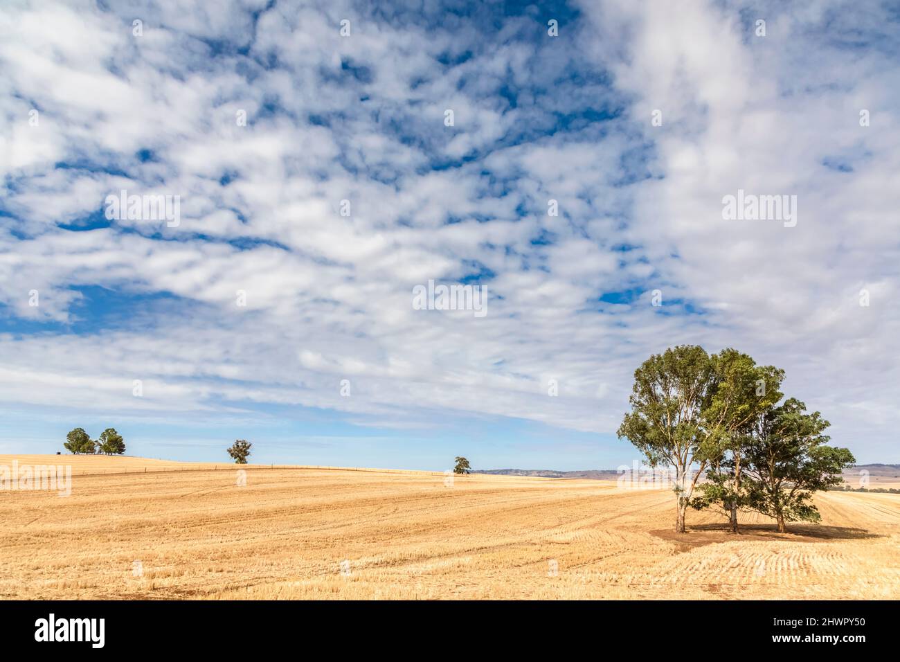 Summer clouds over Stubble Field in Clare Valley Stock Photo - Alamy