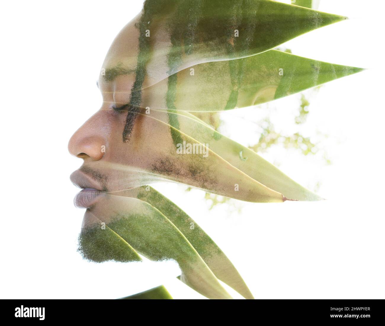 A portrait of a man combined with wild nature in a double exposure ...