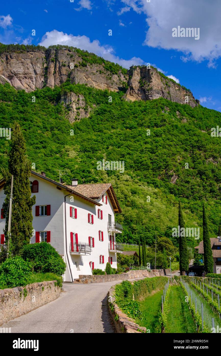 Italy, South Tyrol, Terlan, Hochbrunner hotel in summer with mountain in background Stock Photo