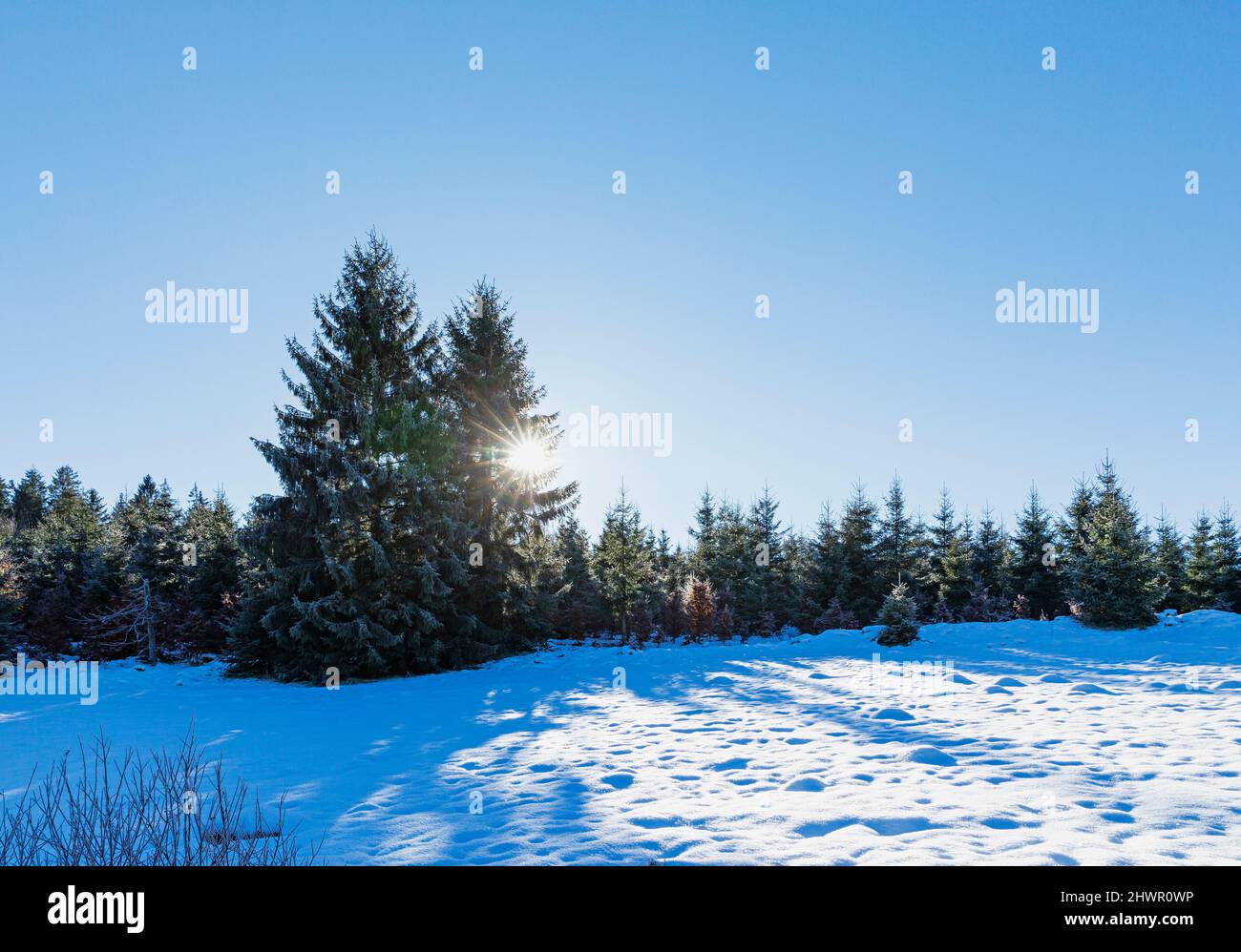 Snowy landscape of Perlenbach-Fuhrtsbachtal nature reserve on sunny day Stock Photo