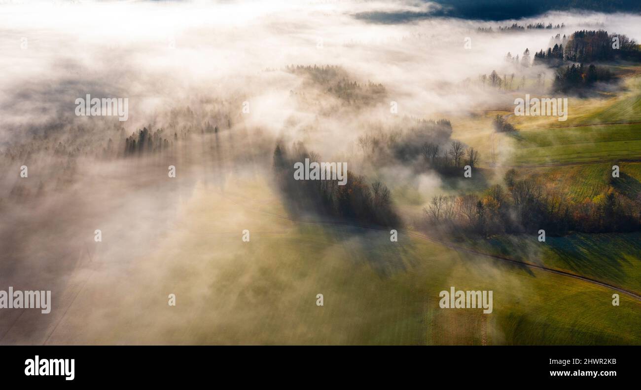 Aerial view thick forest in hi-res stock photography and images - Alamy