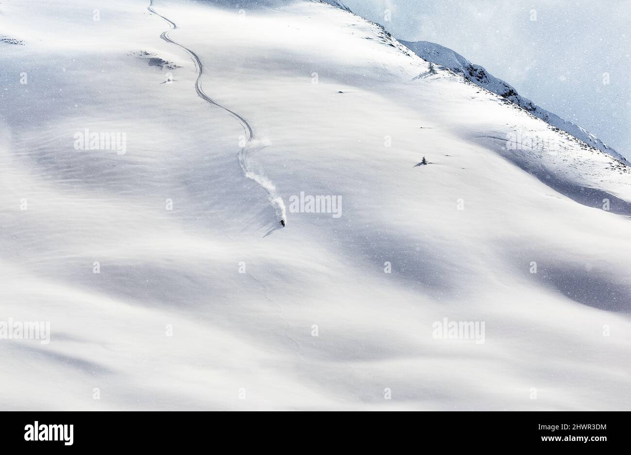 Young man skiing on snow covered mountain, Tyrol, Austria Stock Photo