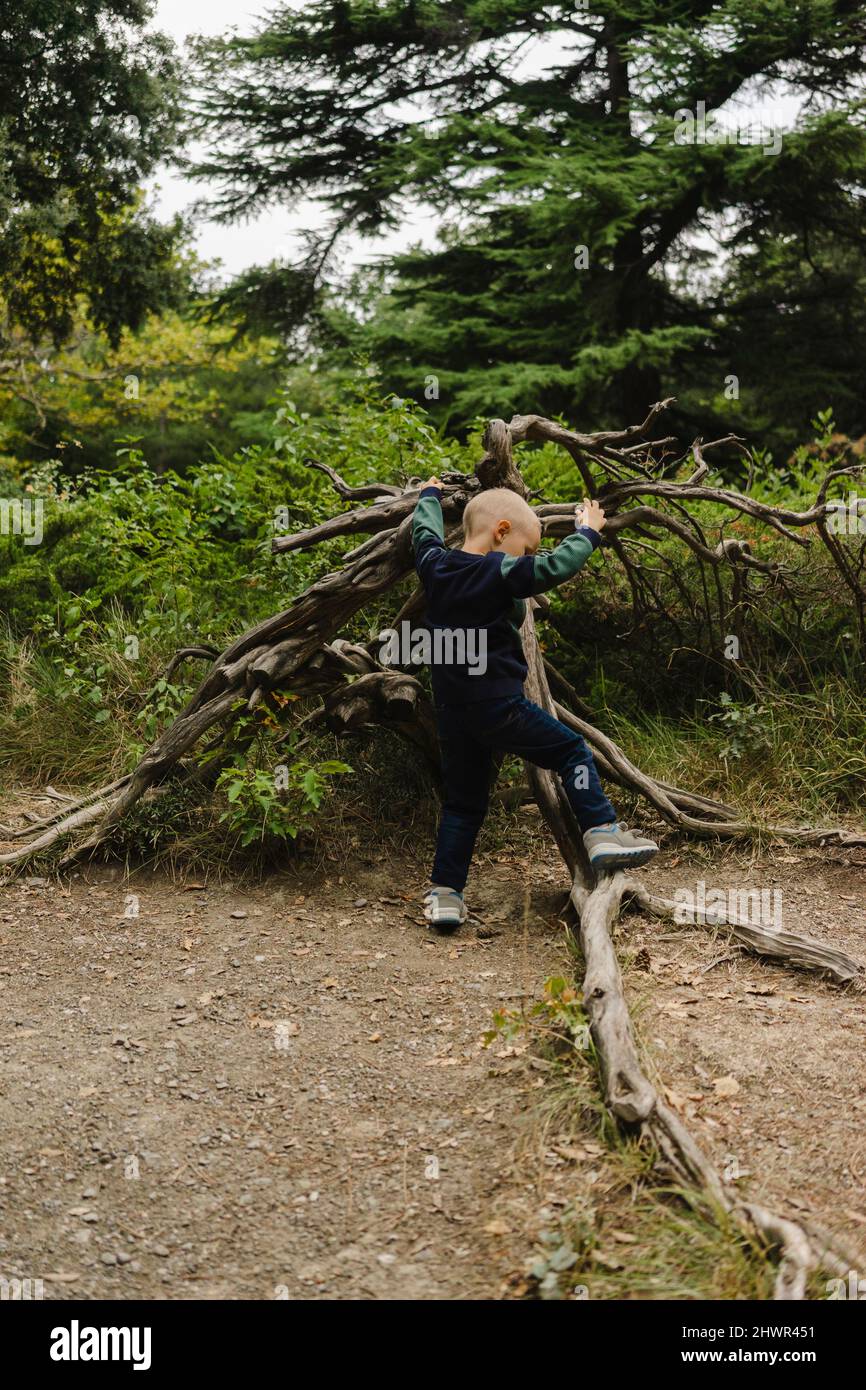 Playful boy climbing fallen tree in forest, Crimea Stock Photo