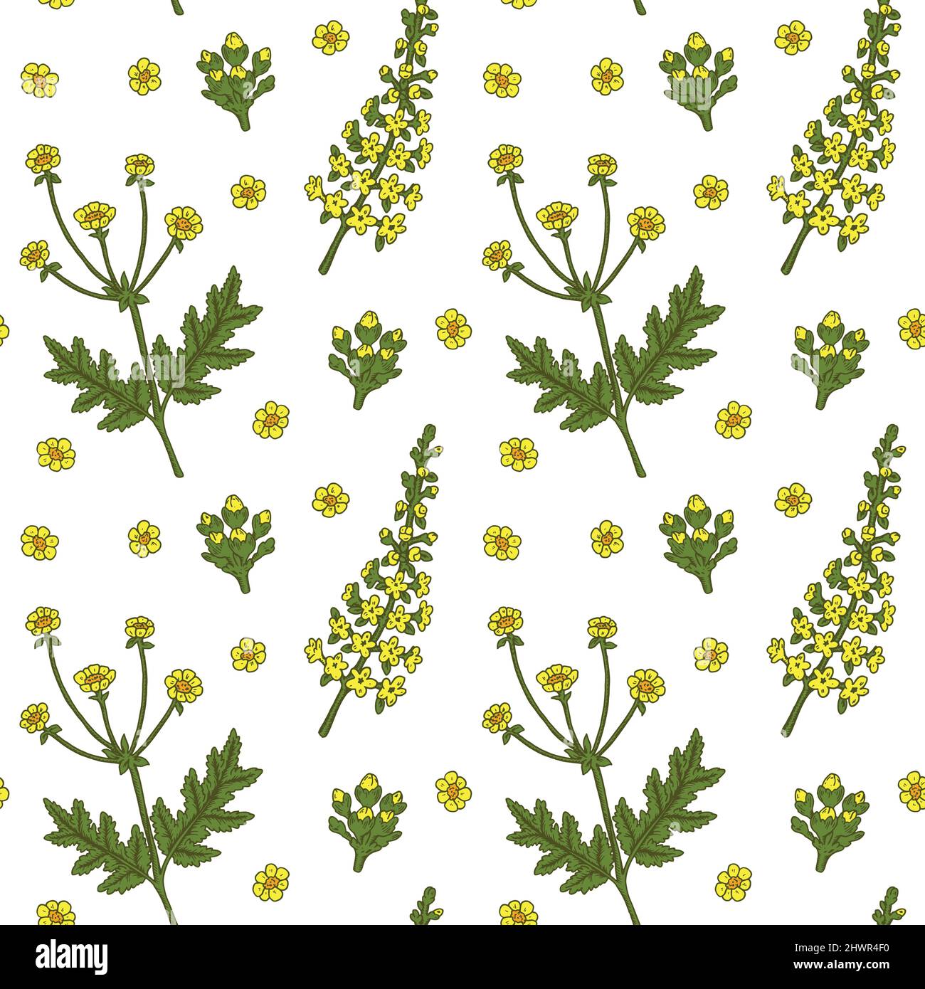 Meadow flowers seamless pattern. Hand drawn vector illustration Stock ...