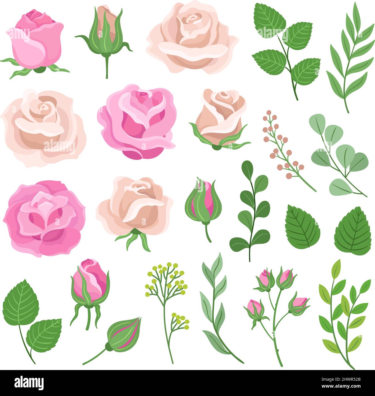 Rose elements. Roses flowers, bleached, pink and ivory floral bouquet ...