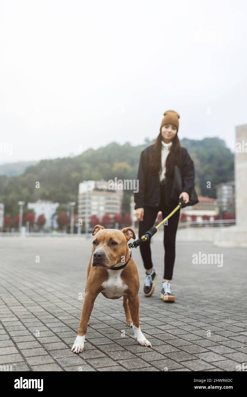 Young woman walking with dog on footpath Stock Photo