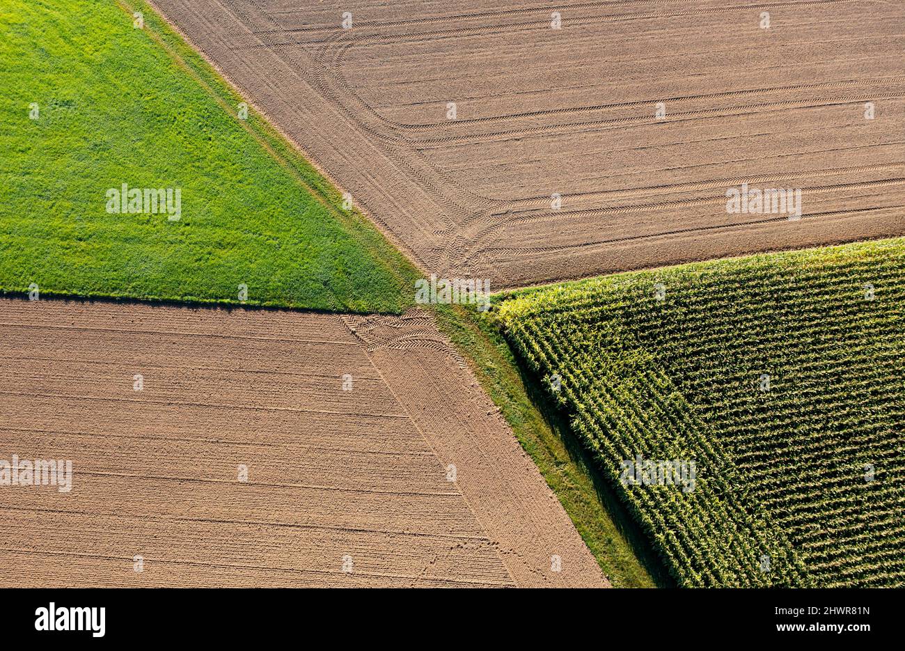 Corn field harvested hi-res stock photography and images - Alamy