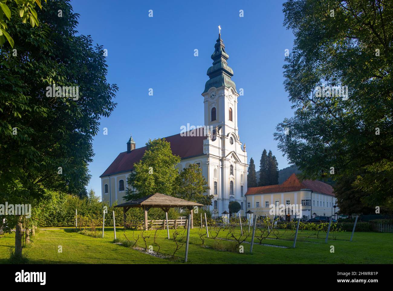 Austria, Upper Austria, Engelhartszell an der Donau, Small vineyard of Engelszell Abbey Stock Photo