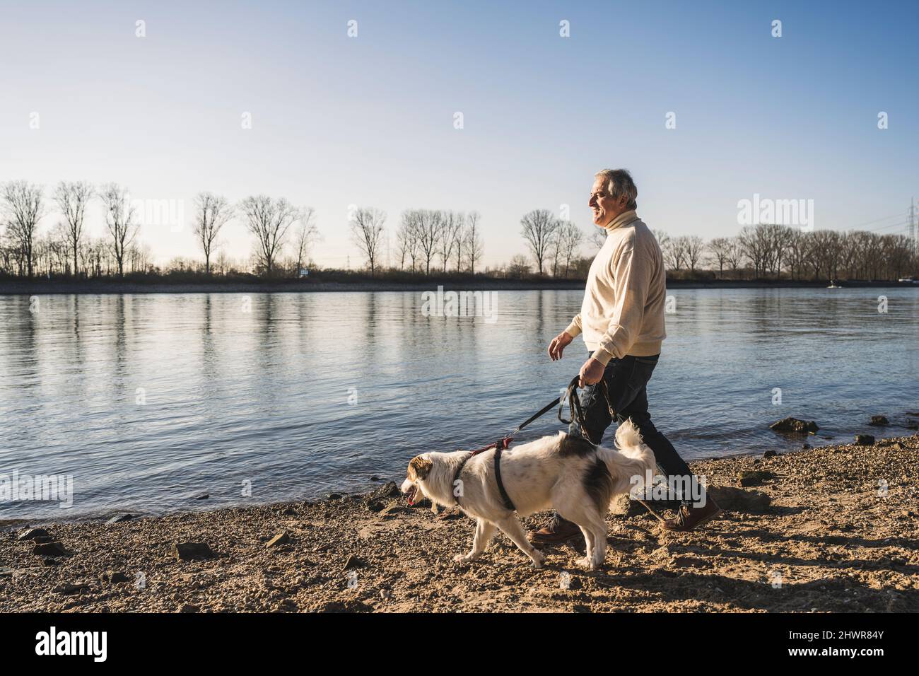 Man walking with dog at beach Stock Photo