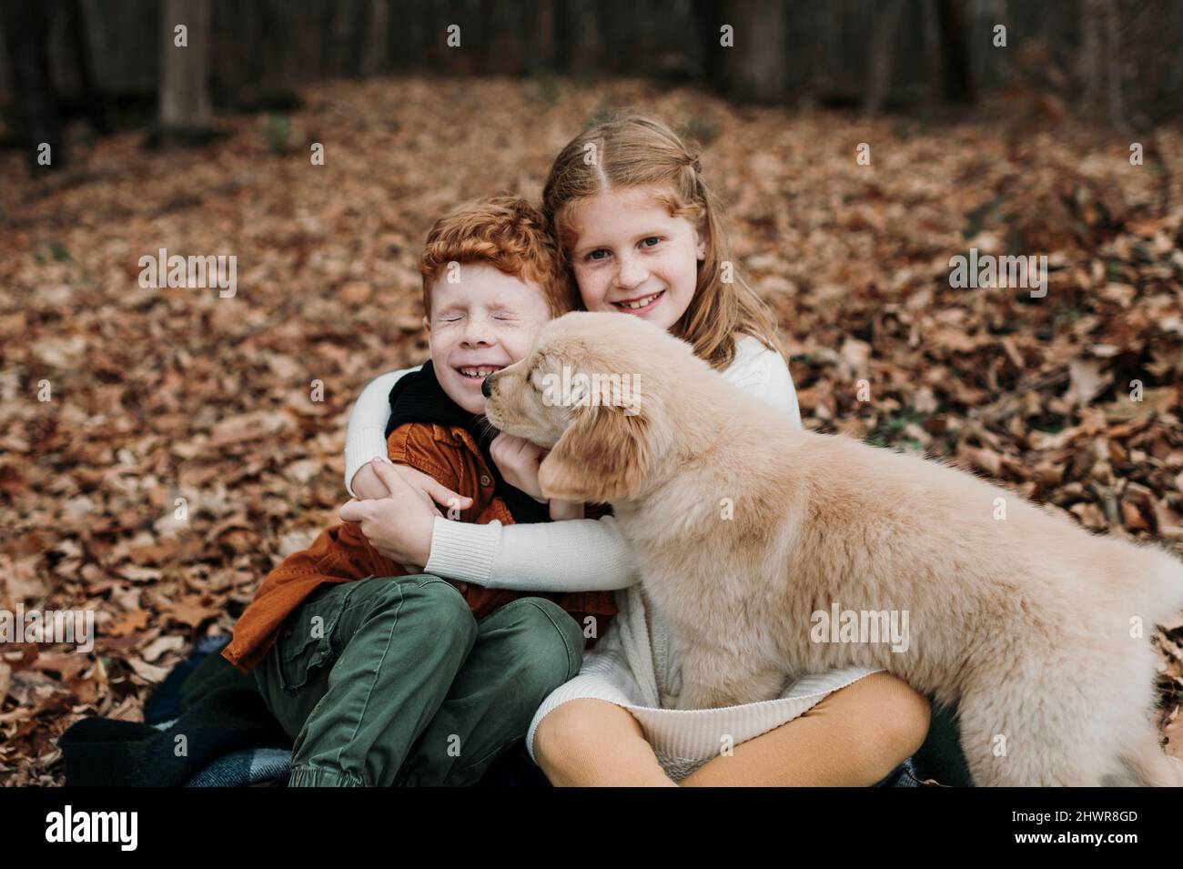 Puppy licking boy's face sitting with sister on autumn leaves in forest Stock Photo