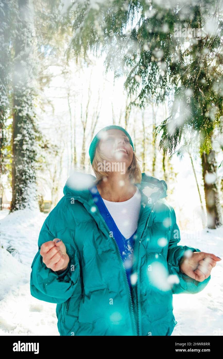 Snowfall forest hi-res stock photography and images - Alamy