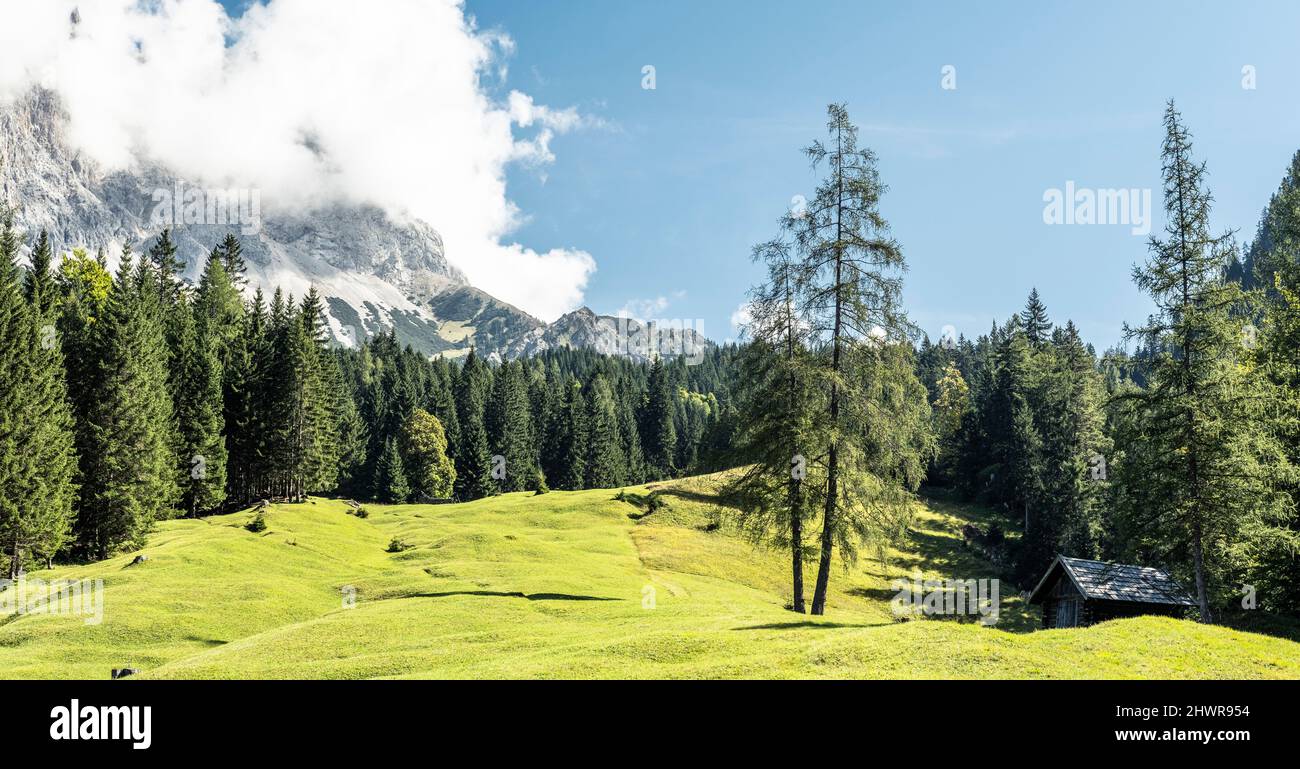 Alpine meadow in summer with Zugspitze mountain in background Stock ...