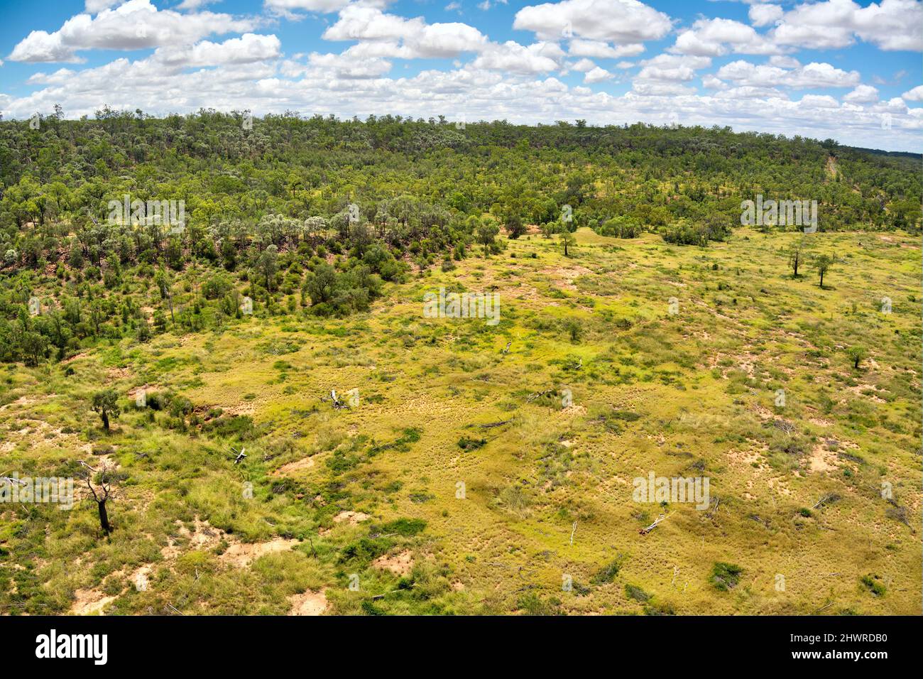Aerial of land clearing for agricultural reasons near Blackwater