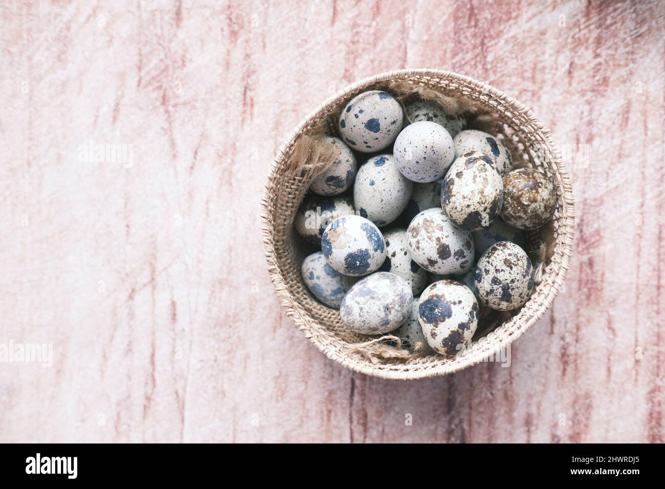 close up of Quails eggs in a box  Stock Photo