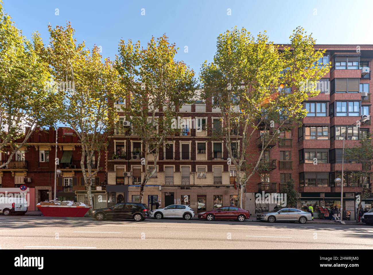 Building facades on a busy street with large trees Stock Photo - Alamy