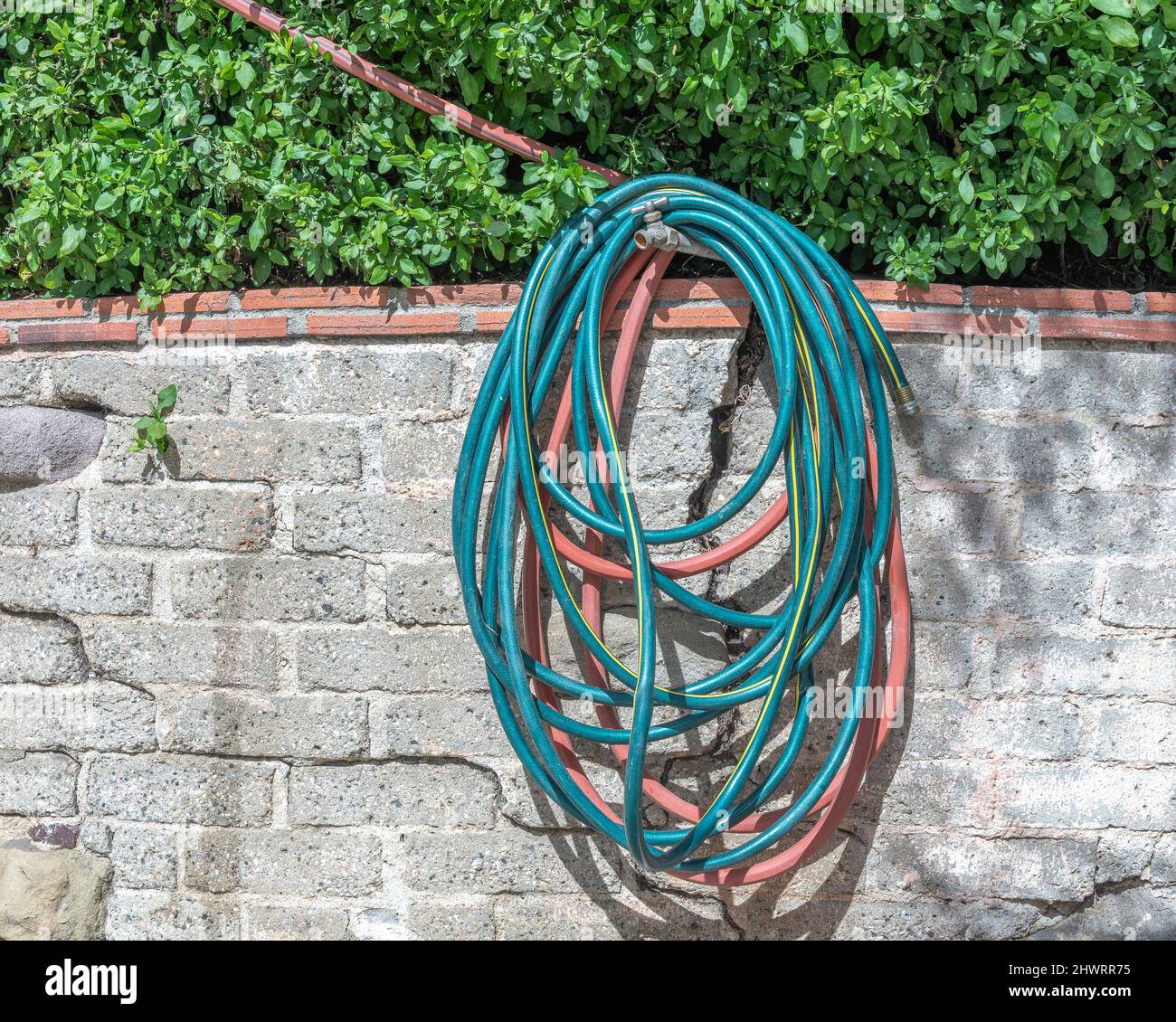 Close-up of a green and red gardening hose hanging up on a wall. Stock Photo