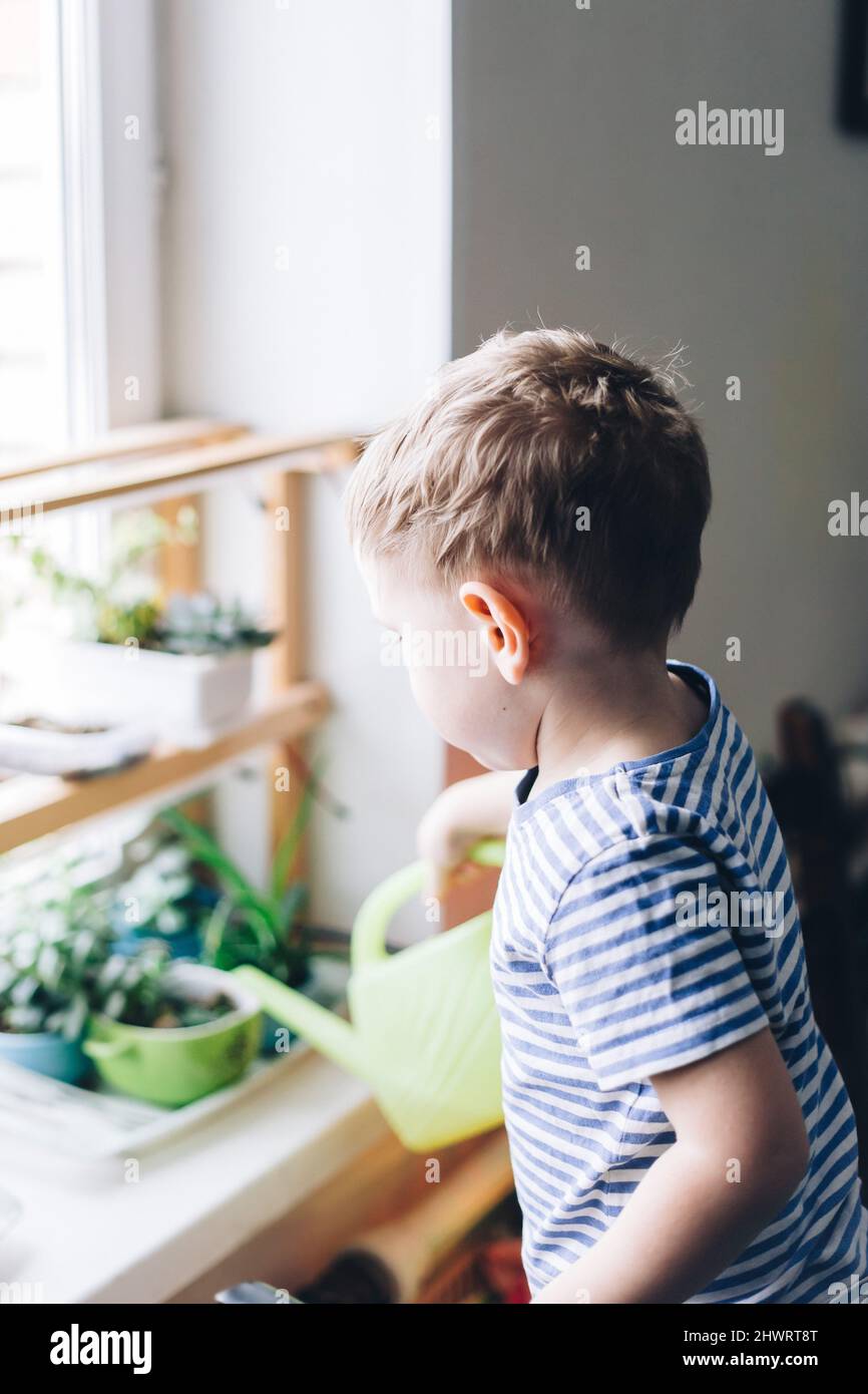 Caucasian boy watering from a yellow watering can home plants on the windowsill, toned lifestyle photography at home, selective focus and softfocus Stock Photo
