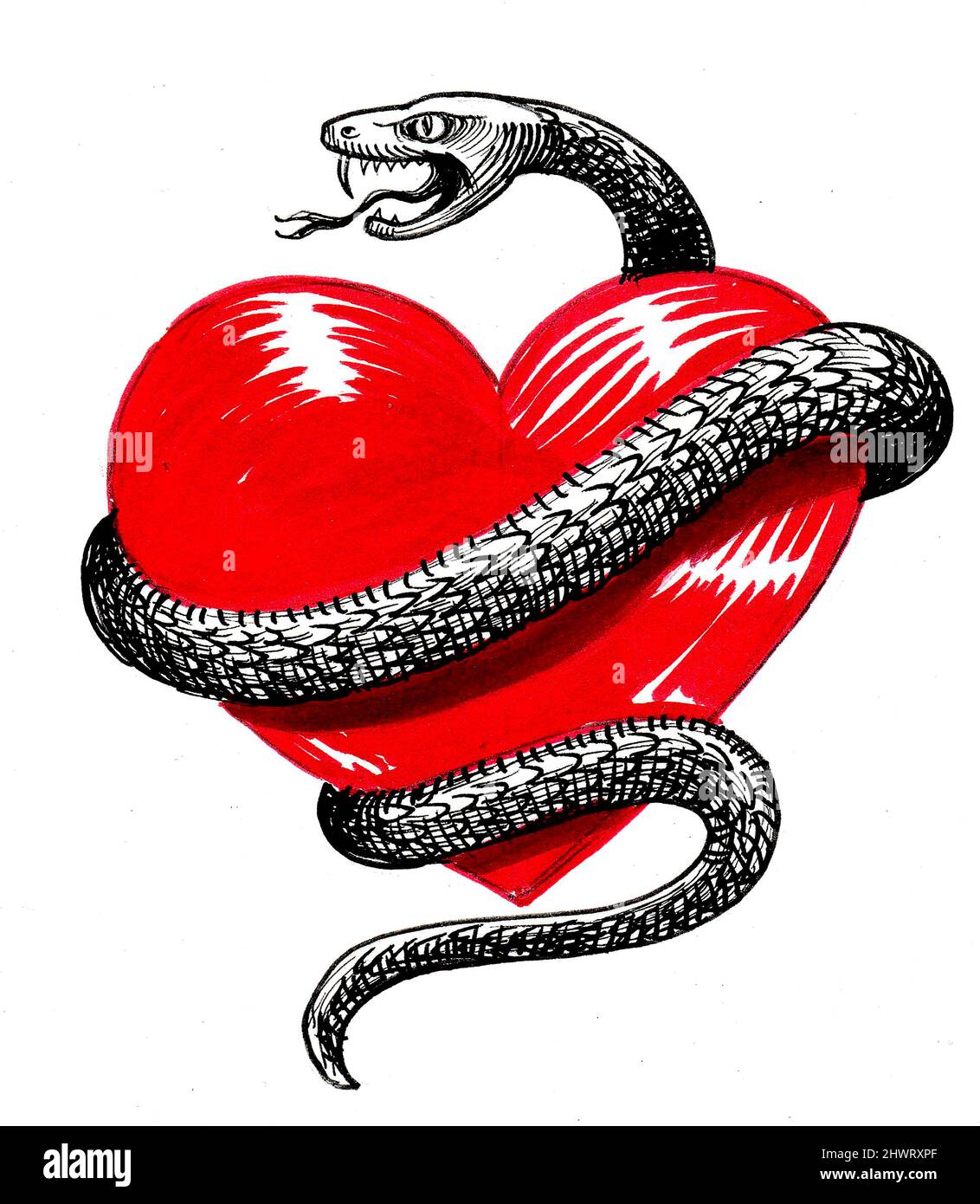 Red heart and snake. Ink drawing Stock Photo Alamy