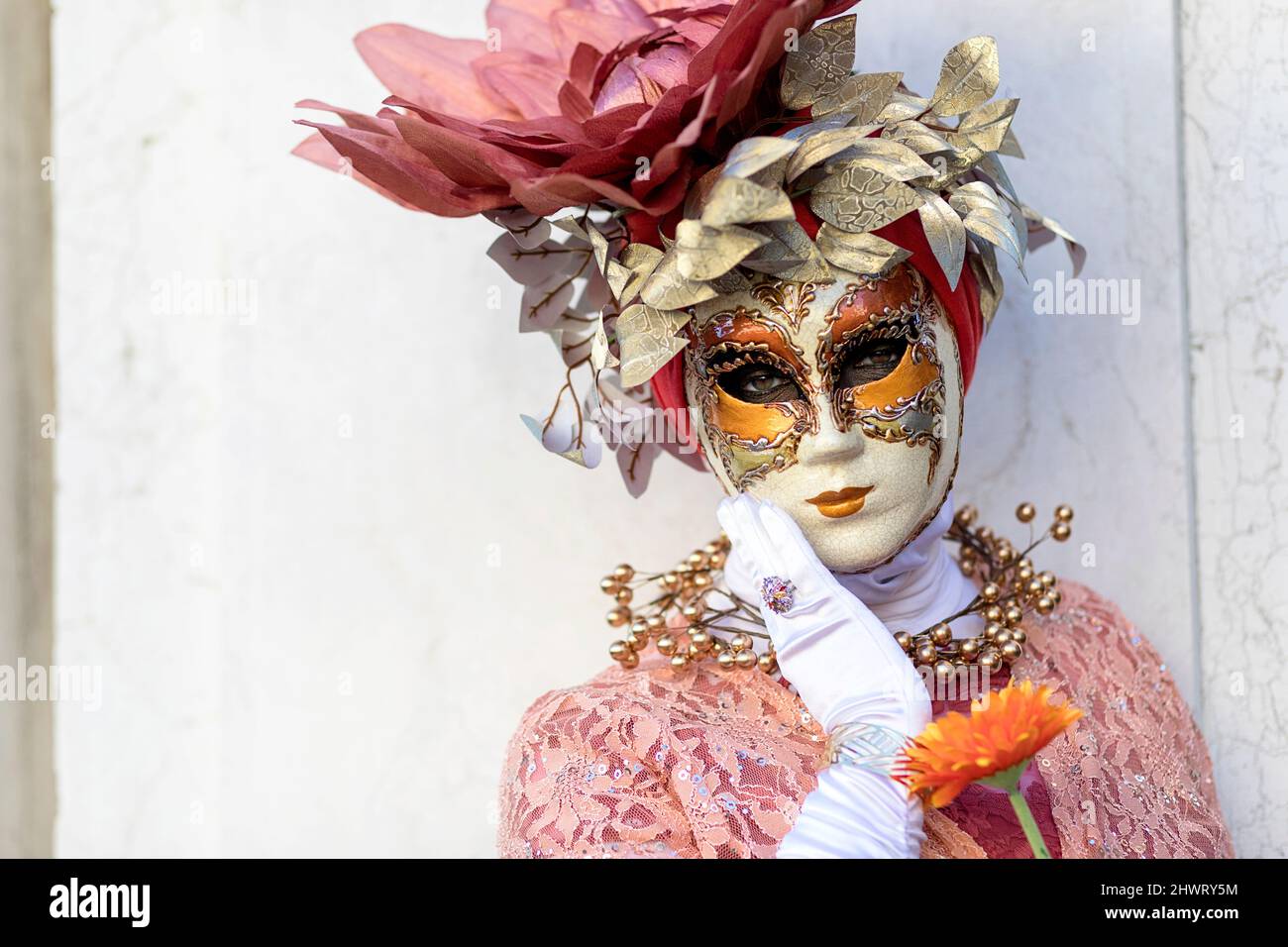 Woman in a beautiful traditional venetian costume and mask posing at the Venice carneval. St. Mark's Square, Venice Stock Photo