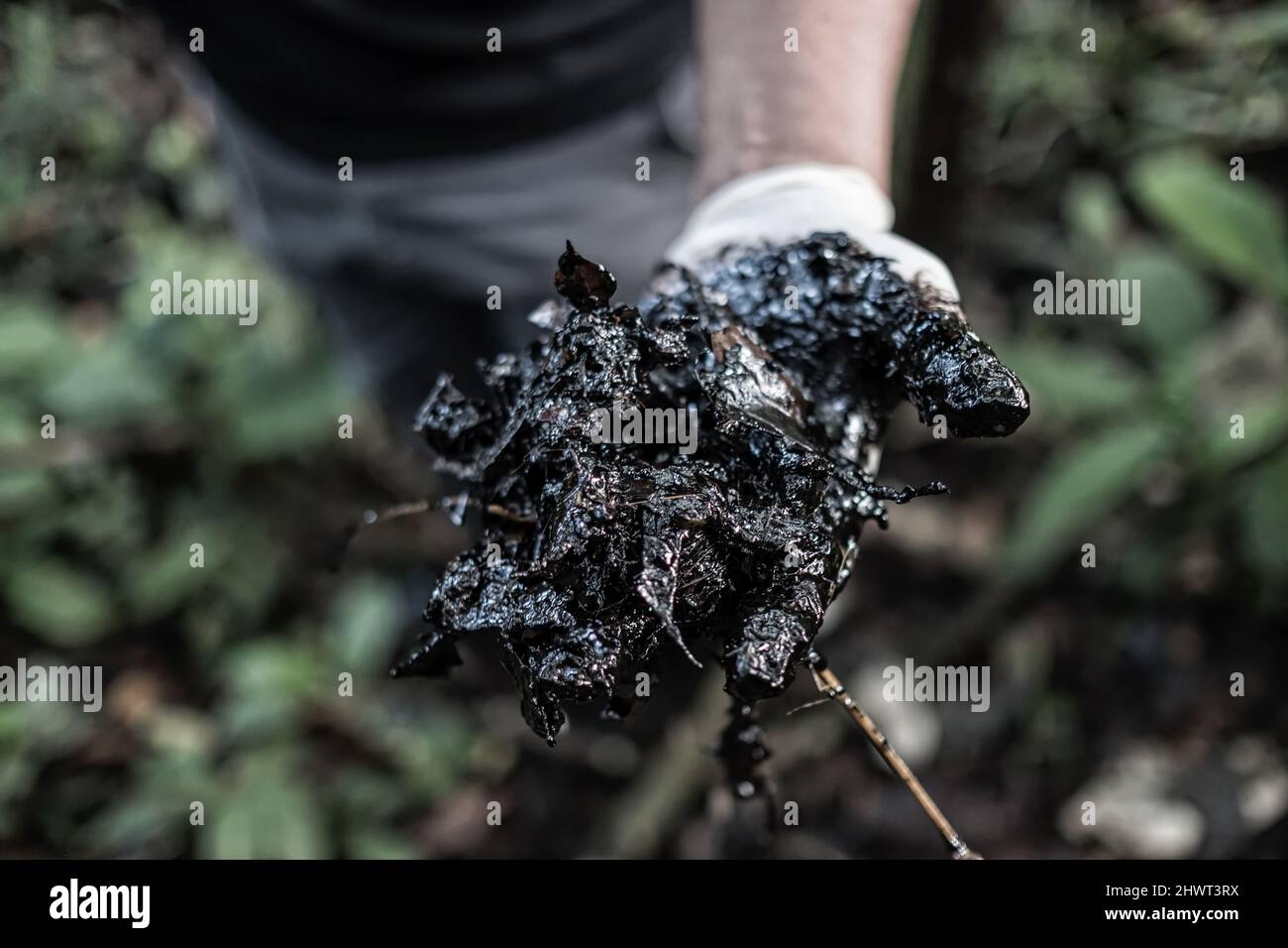 Chevron Polution Oil, crude oil, pollution, Ecuador, Texaco, Chevron, sick people ...