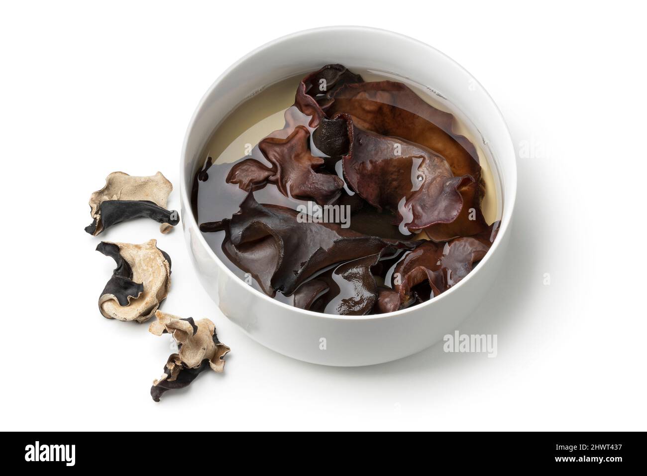 Dried jews ear mushrooms soaking in water in a bowl close up isolated on white background Stock Photo