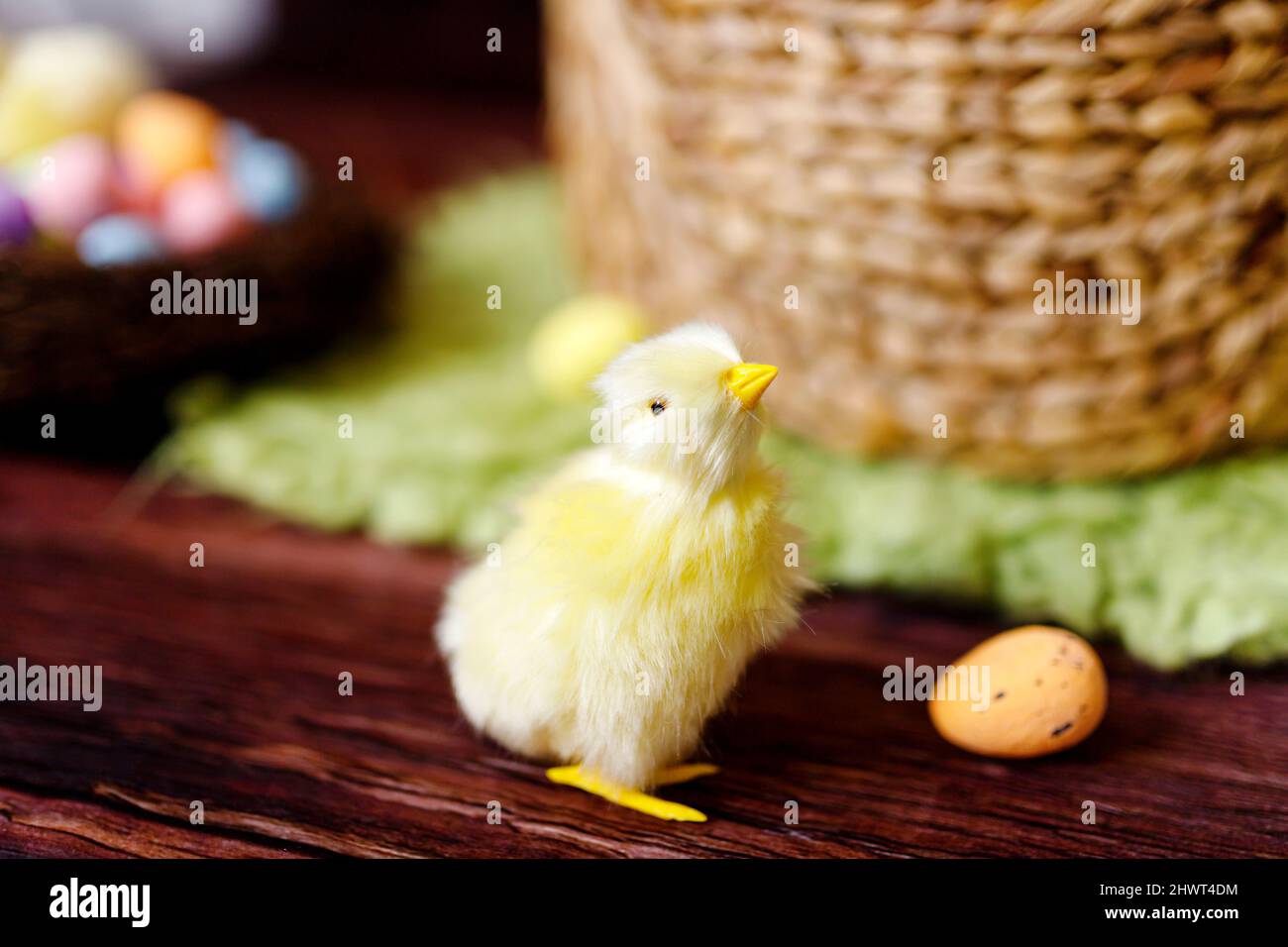 Easter background with yellow chicks and eggs. Easter holidays Stock Photo