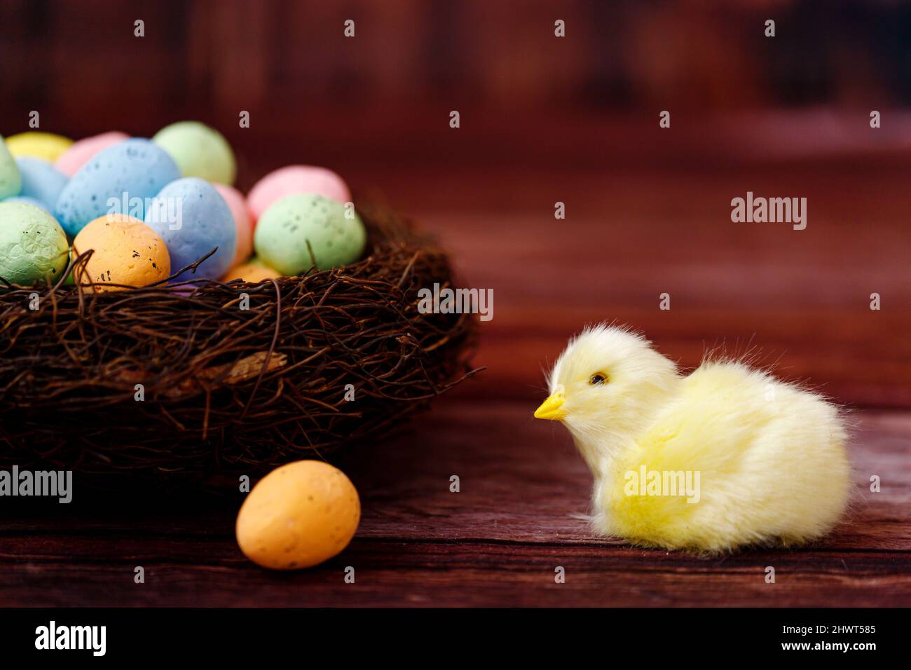 Easter background with yellow chicks and eggs. Easter holidays Stock Photo