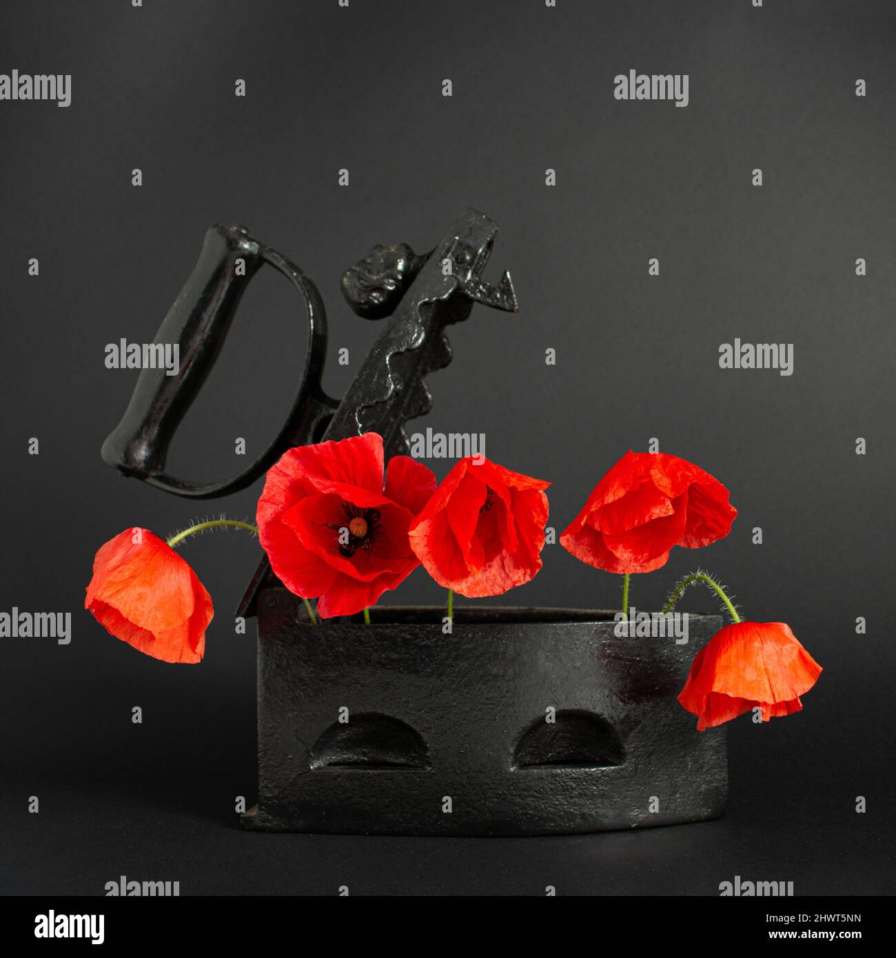 1920s background flowers hires stock photography and images Alamy