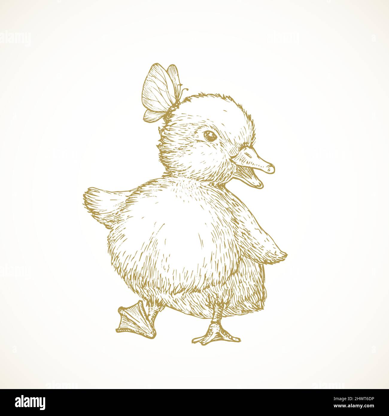 Buy Duck Art for Nursery Kids Room Animal Drawing Water Fowl Online in  India  Etsy