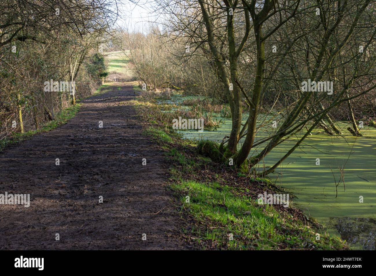 The disused Wilts & Berks canal between Lacock and Pewsham, Wiltshire Stock Photo