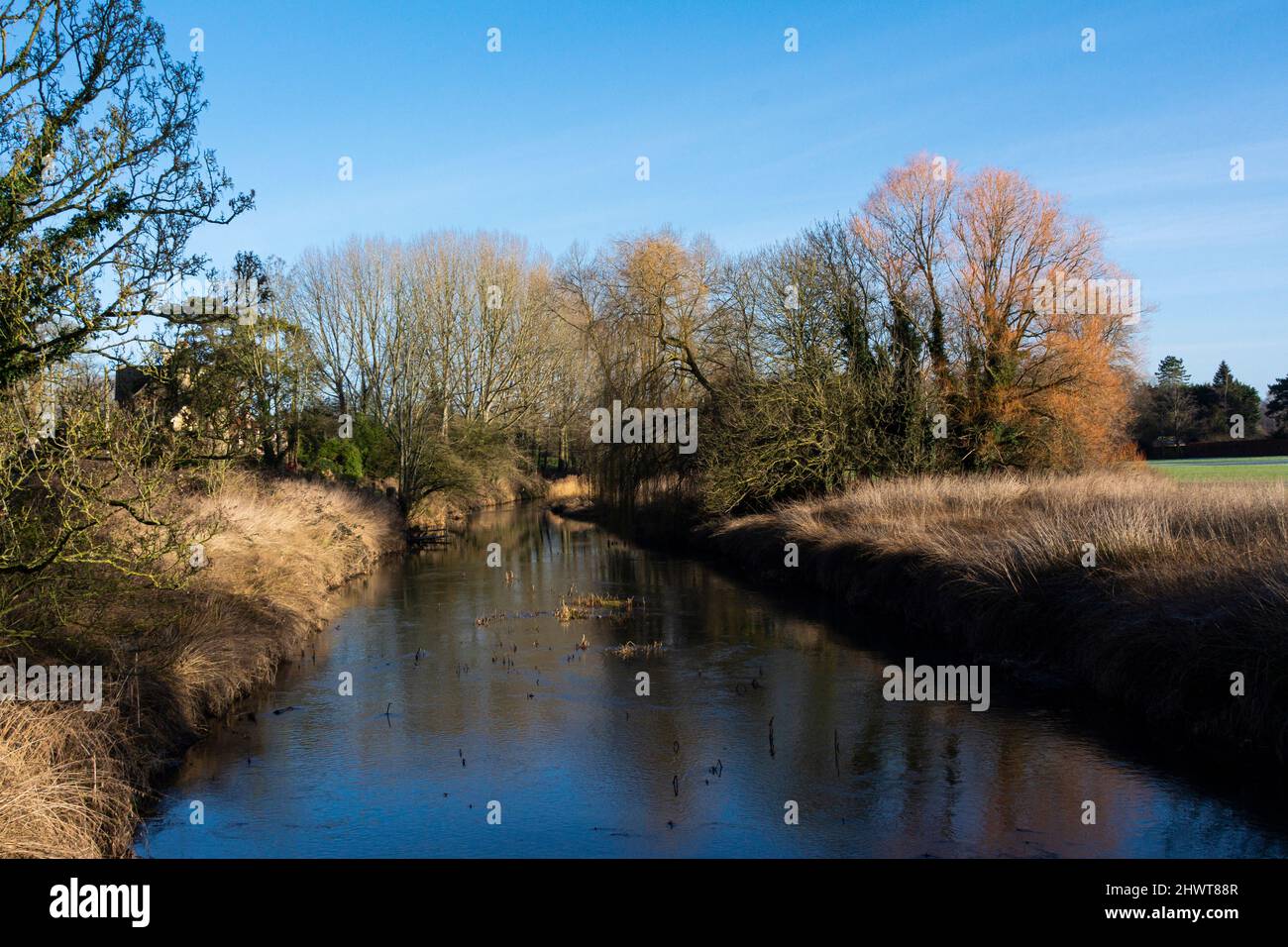 The river Avon at Reybridge, Wiltshire Stock Photo