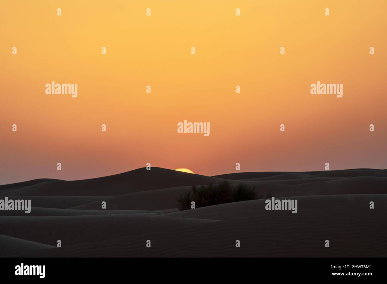 Dubai desert night hires stock photography and images Alamy