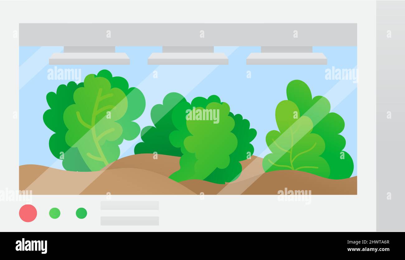 Greenhouse tabletop icon flat vector smart tech Stock Vector