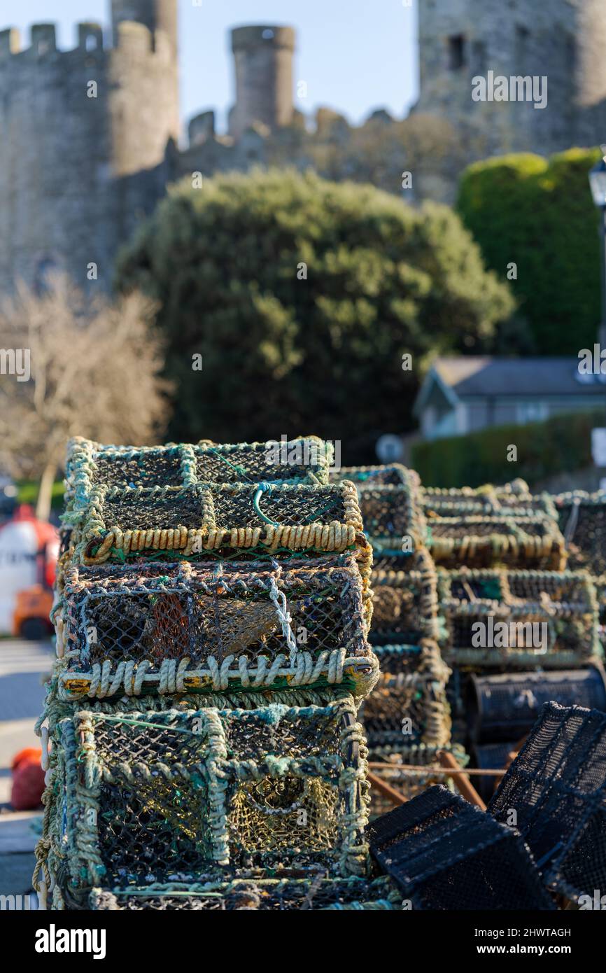 Crab and lobster pots stacked on the quayside of the fishing port Conwy North Wales UK out of focus castle in the background Stock Photo