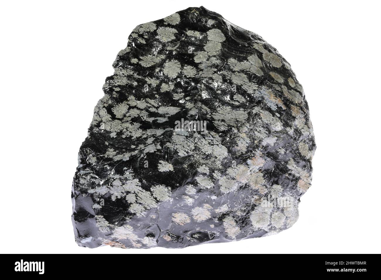 snowflake obsidian from Mexico isolated on white background Stock Photo