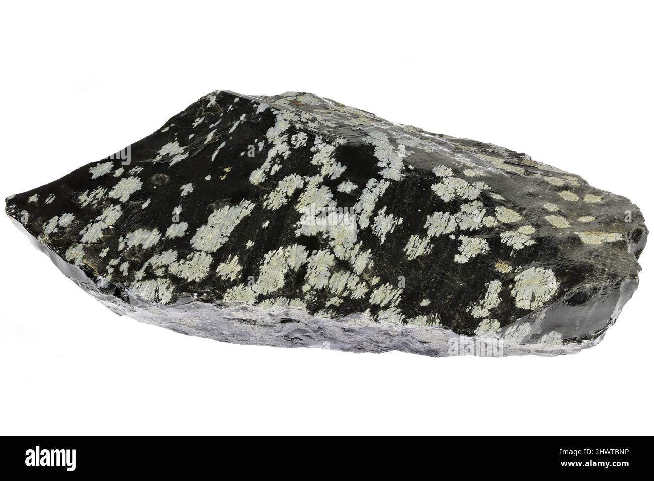 snowflake obsidian from Mexico isolated on white background Stock Photo