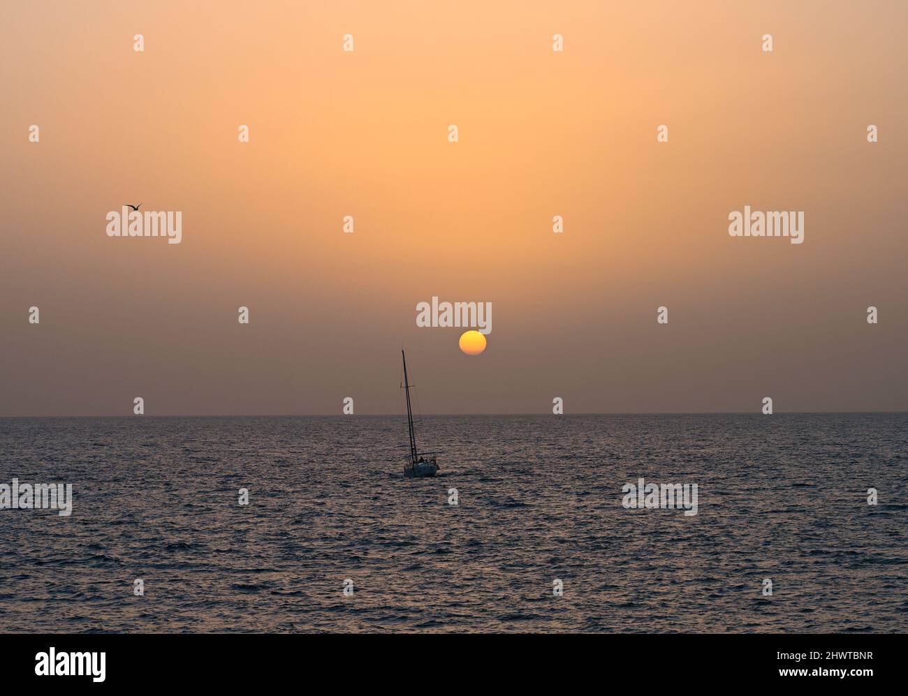 A tranquil distant sunset on a warm February Day over the Atlantic Ocean at dusk with a sail boat crossing the horizon with a distant seagull Stock Photo