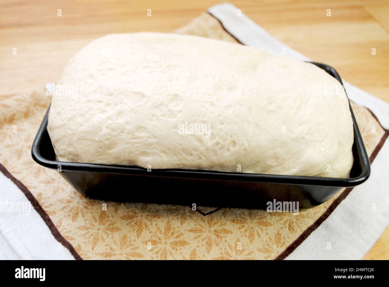 Raw Bread Dough Rising in an Oiled Baking Pan Stock Photo
