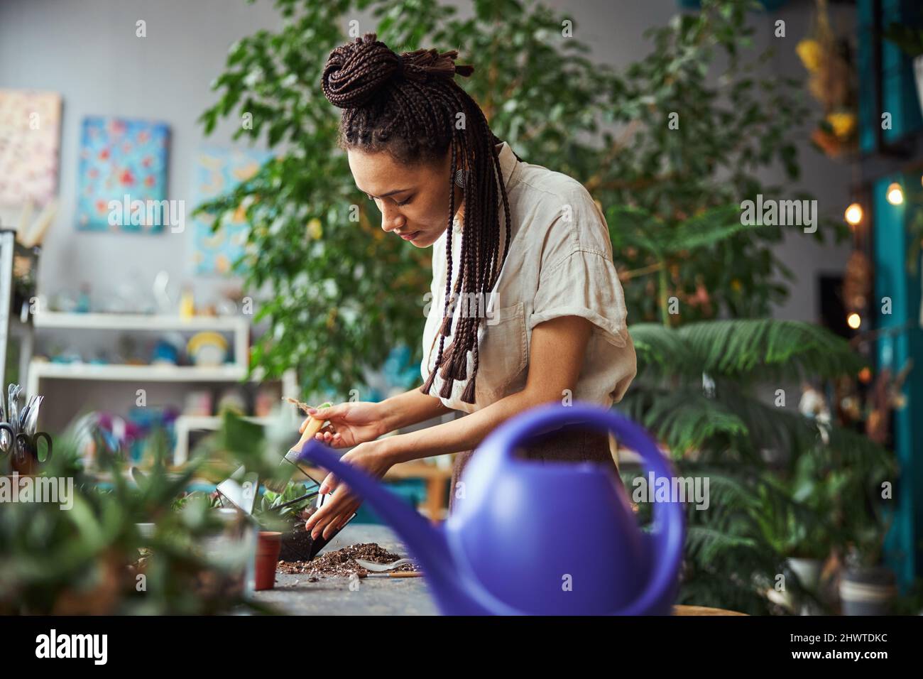Florist cleaning the inside of a florarium using a brush Stock Photo