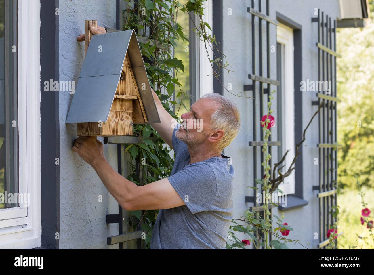 Nistkasten aufhängen, anbringen, Aufhängung an Hausfassade, Vogel-Nistkasten, Selbstgebaute Holz-Nistkästen, Nistkasten für Vögel aus Holz, Vogelkaste Stock Photo