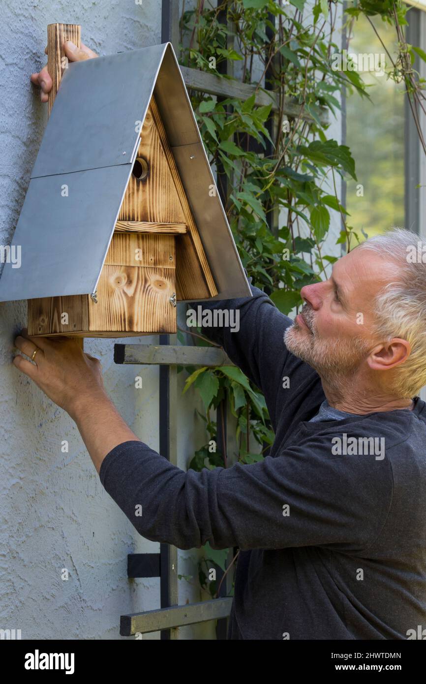 Nistkasten aufhängen, anbringen, Aufhängung an Hausfassade, Vogel-Nistkasten, Selbstgebaute Holz-Nistkästen, Nistkasten für Vögel aus Holz, Vogelkaste Stock Photo