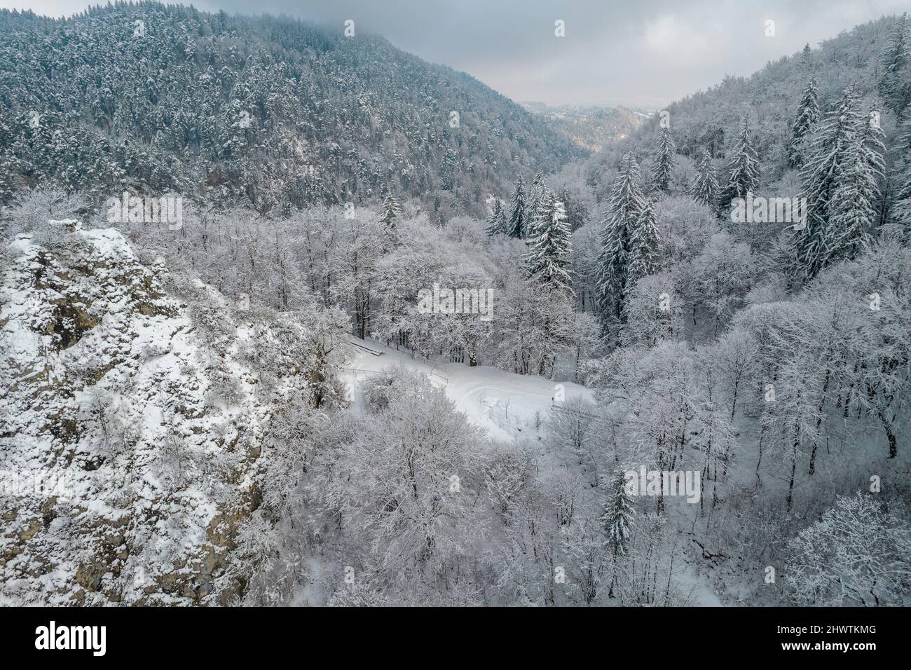 Aerial view of a frozen forest and cloudy weather Stock Photo - Alamy