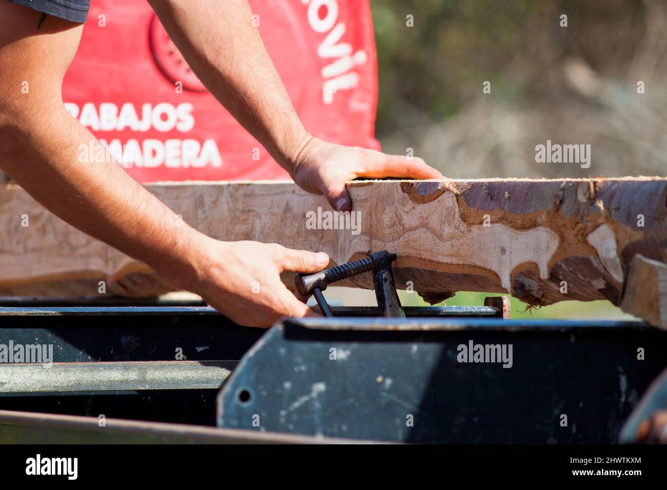 log sawing in a mobile sawmill. log in the sawmill. preparation for