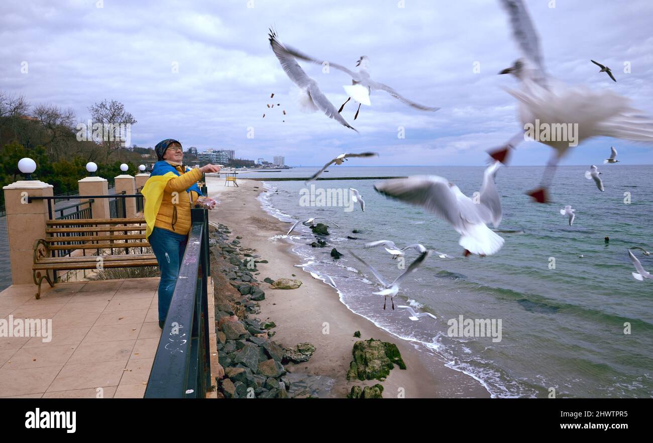Prrety adult mature woman with feeds seagulls on the embankment in Odessa Ukraine. Stop war in Ukraine. Stock Photo